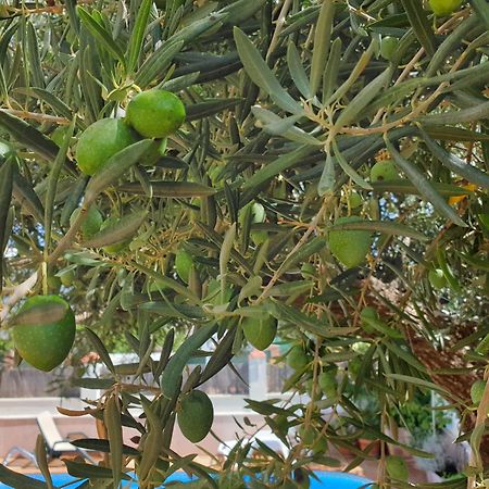 Alojamiento El Olivo Ronda Ruang foto