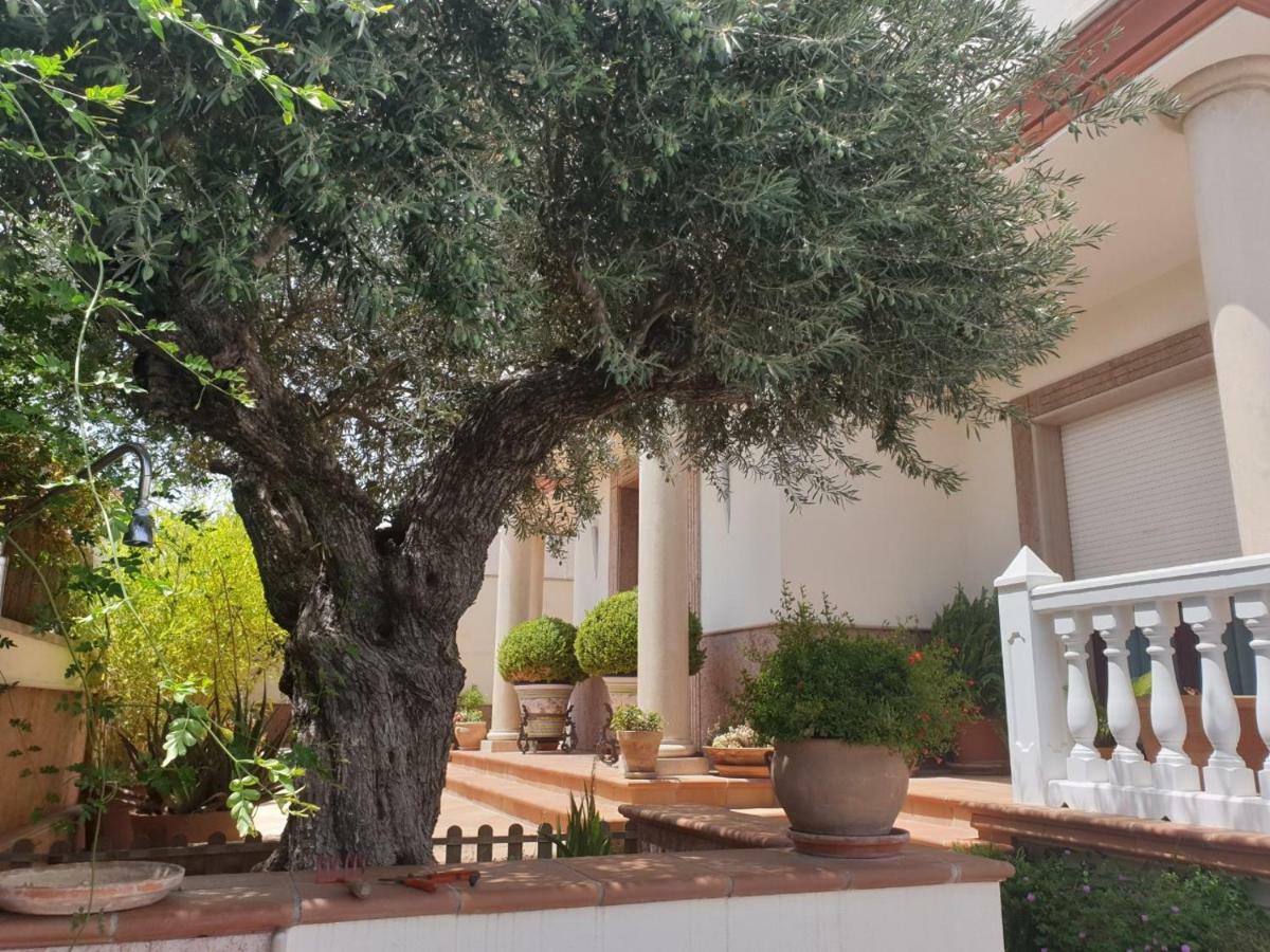 Alojamiento El Olivo Ronda Bagian luar foto